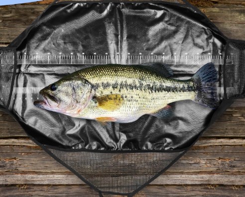 사진 촬영 낚시 Unhooking 매트 측정 슬링 물고 - Fishing Bag Waterproof 리뷰 및 가격